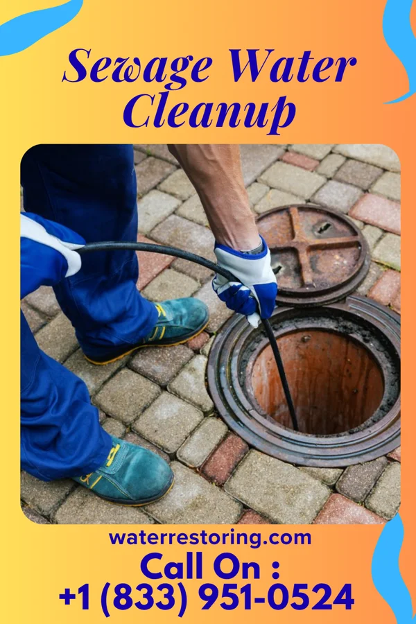 Sewage Water Cleanup in University City, MO